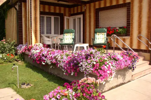 Amlia Apartman, Gyula