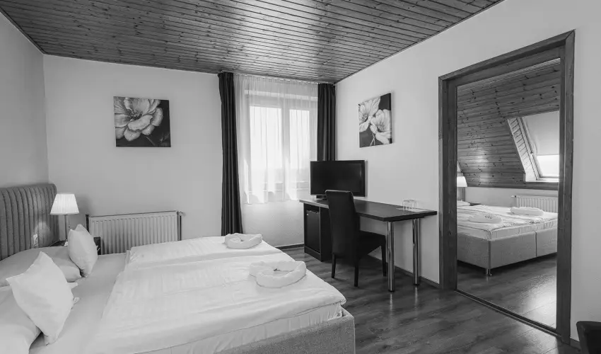 Aqua Hotel Gyula