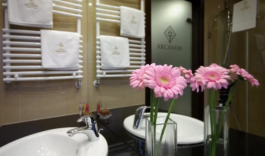 Arcanum Hotel B�k�scsaba