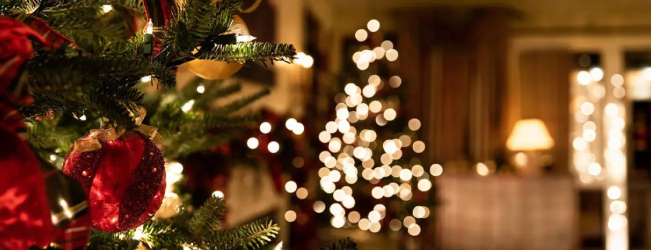 Elizabeth Hotel Gyula - Angyali karcsony (min. 2 j)