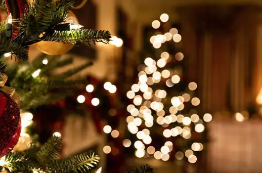 Elizabeth Hotel, Gyula