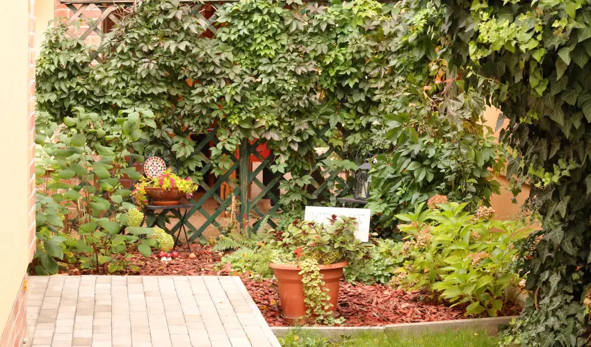 Gellny Lux Apartman Gyula