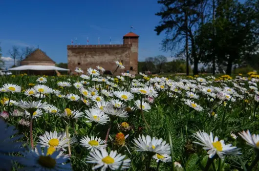 H�forr�s Hotel �s �d�l�park, Gyula