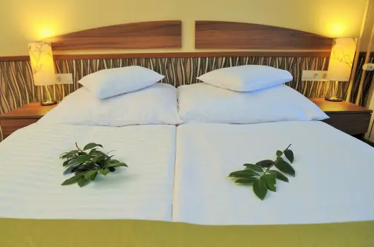 Park Hotel Gyula, Gyula