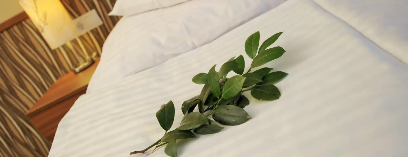 Park Hotel Gyula Gyula - Htvgi lom (min. 2 j)