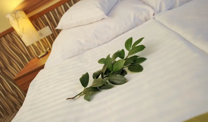 Park Hotel Gyula Gyula