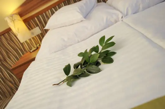 Park Hotel Gyula, Gyula