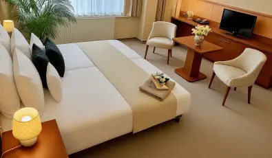 Plza Hotel Gyula Gyula