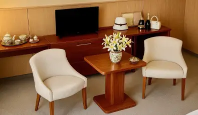 Plza Hotel Gyula Gyula