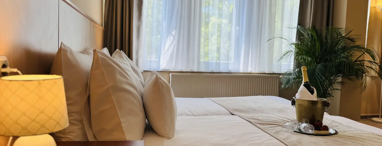 Plza Hotel Gyula Gyula - Napi rak nelltssal (1 jtl)