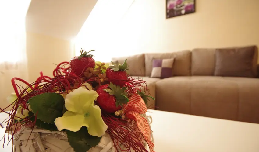 Szamcs Apartman Gyula