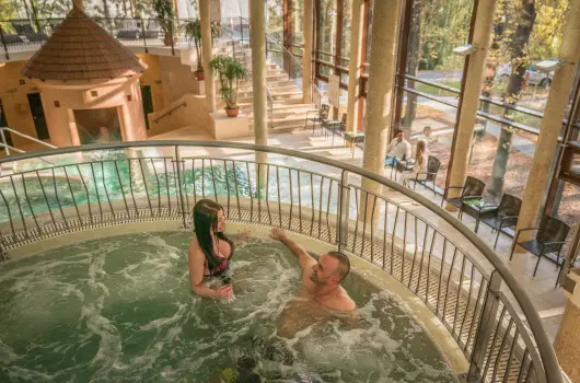 Wellness Hotel Gyula, Gyula